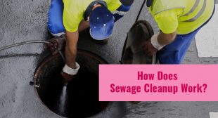 HOW DOES SEWAGE CLEANUP WORK?