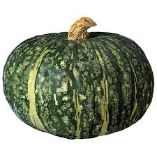 Purchase Organic Squash from Suppliers and Enjoy Healthy Sweet Dishes Round the Year